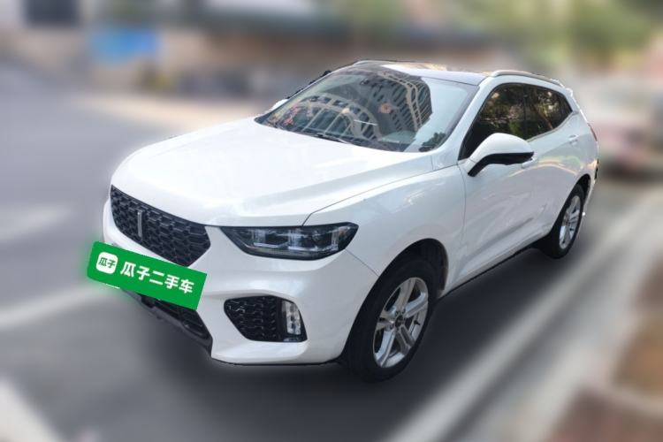 Used Wey VV5 2019 1.5T Two-Wheel Drive Color Pioneer
