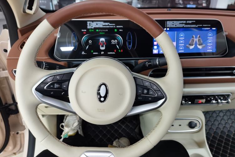 Used ORA Good Cat 2023 401 km Standard Range Premium Version Lithium Iron Phosphate
