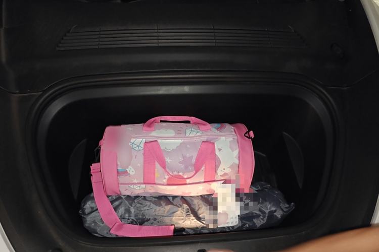 Used Tesla Model Y 2021 Long-Range All-Wheel-Drive Version
