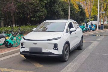 Used Geometry E Firefly 2024 401 km Fluorescent