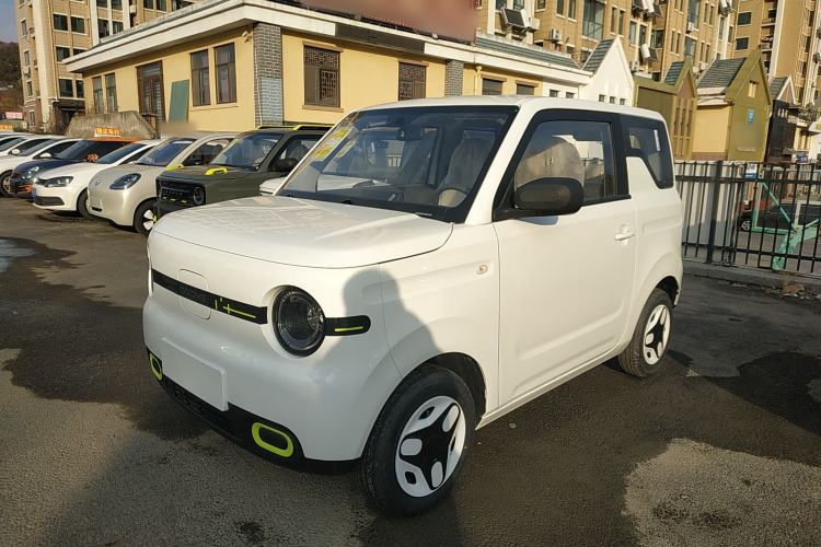 Used  Panda 2025 210 km – Yuanqi Bear
