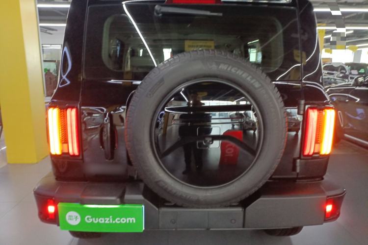 Used Tank 300 2024 2.0T Crosser
