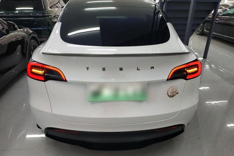 Used Tesla Model Y 2021 Standard Range Rear-Wheel Drive Version
