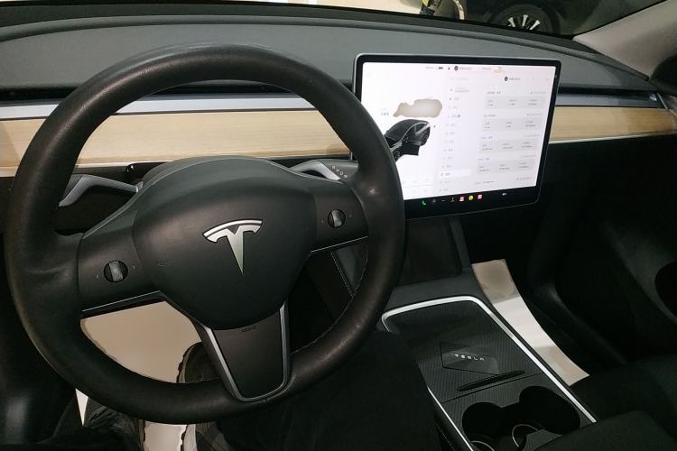 Used Tesla Model Y 2021 Standard Range Rear-Wheel Drive Version
