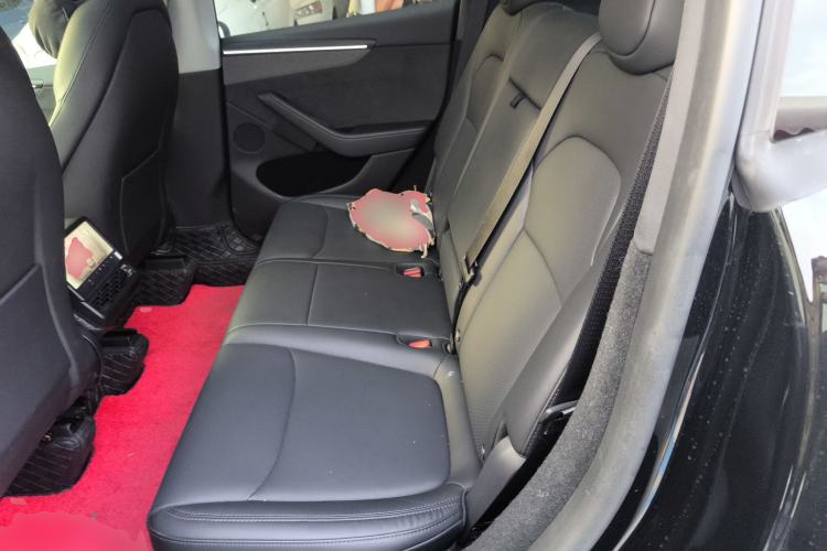 Used Tesla Model Y 2025 Updated Version Long-Range All-Wheel Drive
