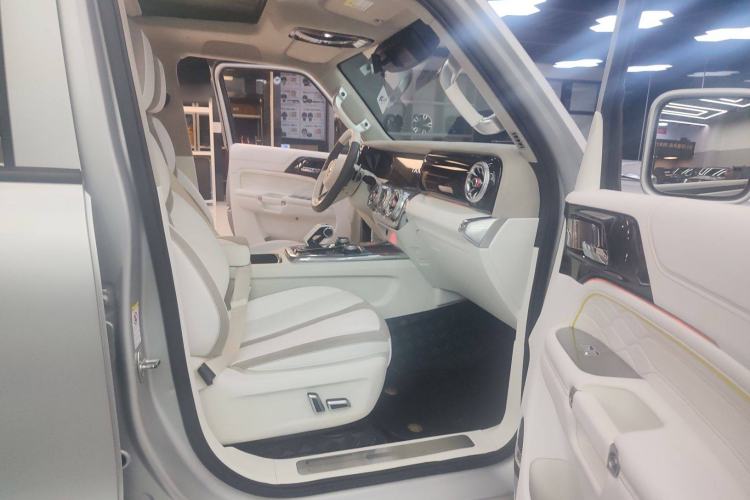 Used  Tank 300 2021 2.0T Cyber Tank
