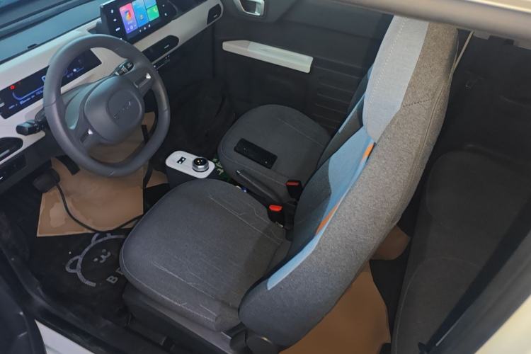 Used  Panda 2023 Panda Mini 200km Endurance Bear