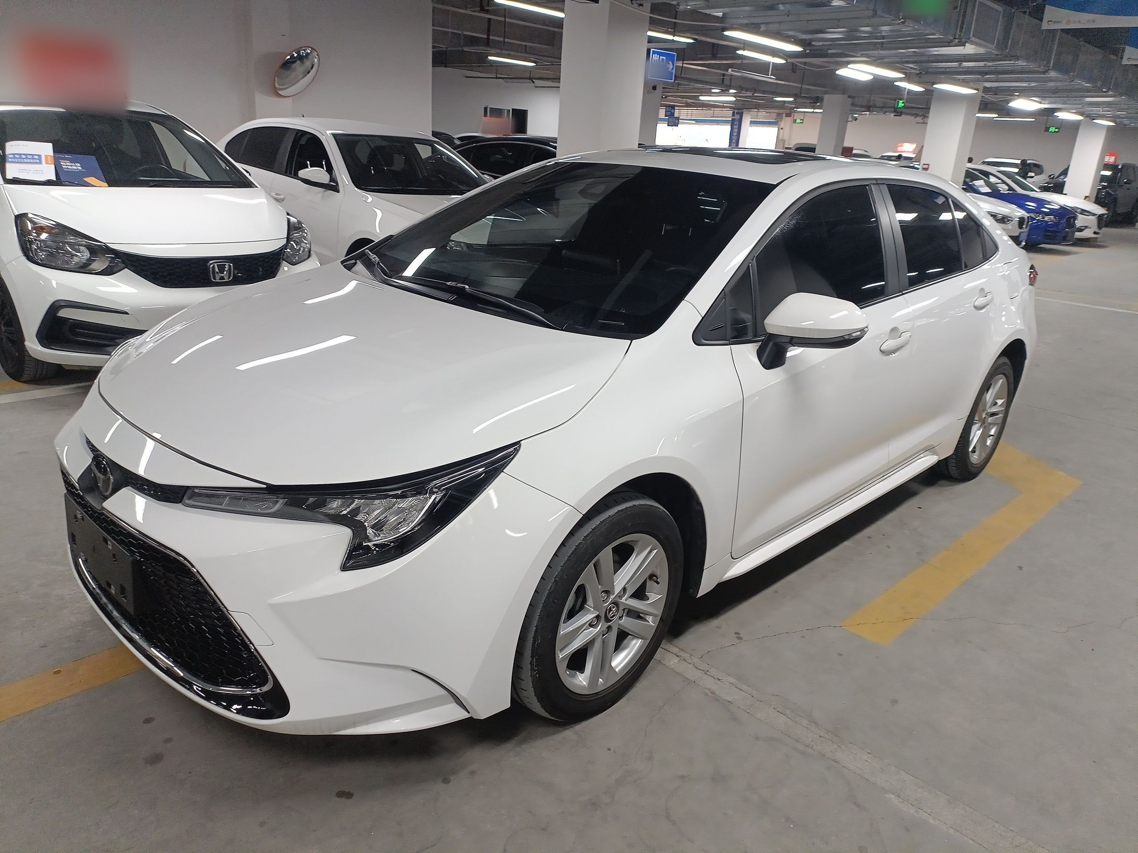 تحت مقدمة السيارة