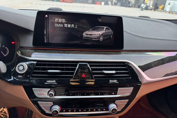 Used BMW 5 Series 2019 530Li Leading Model M Sport Package