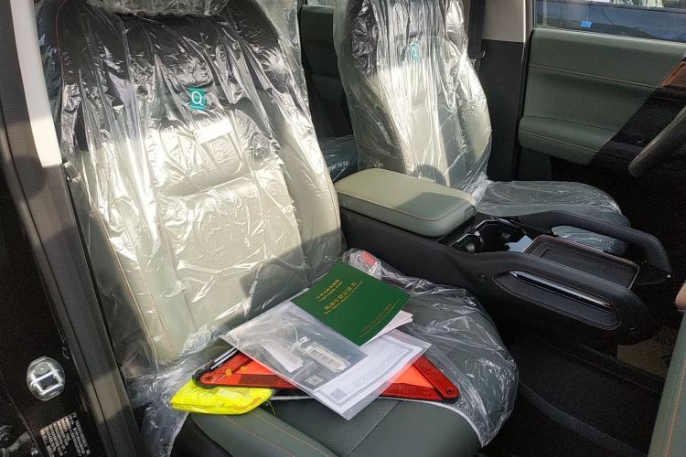 Used  03 2024 401km Two-Wheel Drive Standard Advanced Version