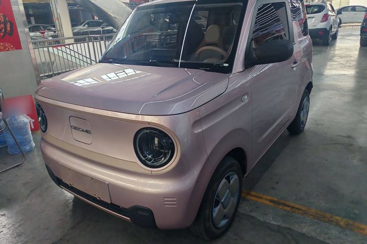 Used  Panda 2023 Panda Mini 200km Endurance Bear
