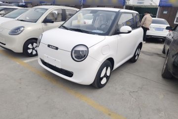 Used Qiyuan Lumin 2025 205 km Xiangqin Version