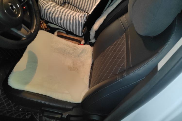 Used ORA White Cat 2020 401 km Long-Range Version
