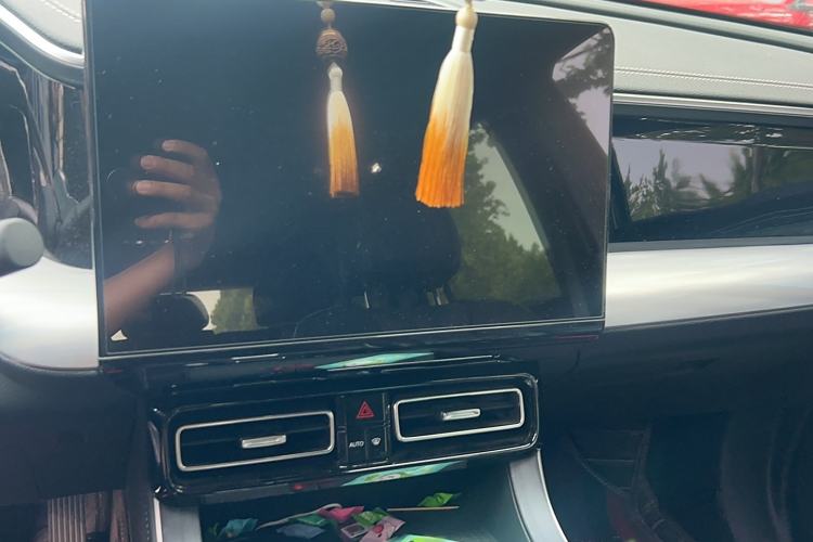 Used GAC Trumpchi GS8 2024 Linghang Series 2.0 TGDI Two-Wheel Drive Luxury Smart Connectivity Version
