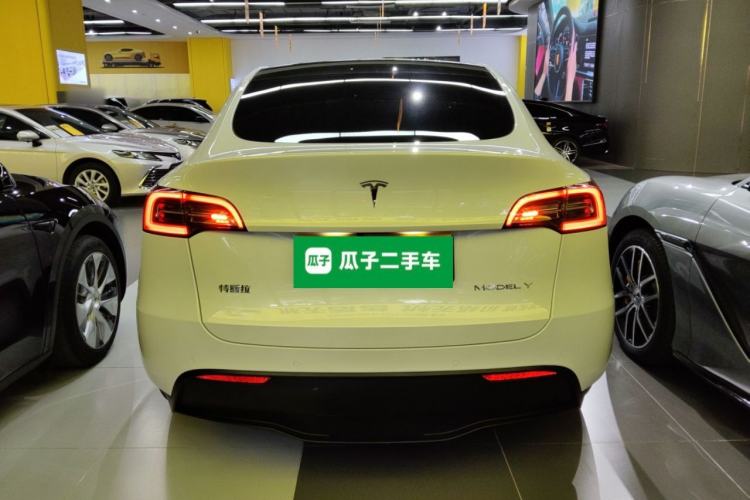 Used Tesla Model Y 2021 Standard Range Rear-Wheel Drive Version
