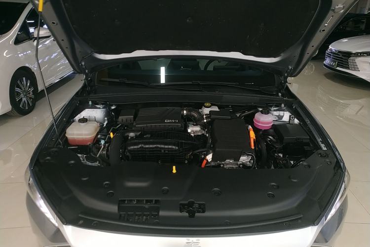 Used BYD Qin PLUS 2024 HONOR Edition DM-i 55KM Leading Model
