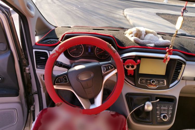 Used  M4 2019 Joyful Series 2.0L Manual Business Model China VI
