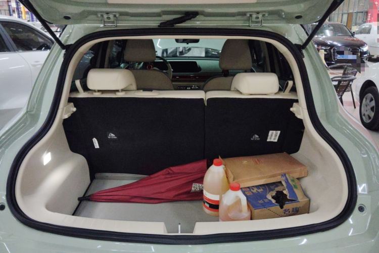 Used ORA Good Cat 2023 401 km Standard Range Luxury Version Lithium Iron Phosphate
