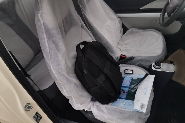 Used  Panda 2025 210 km – Yuanqi Bear
