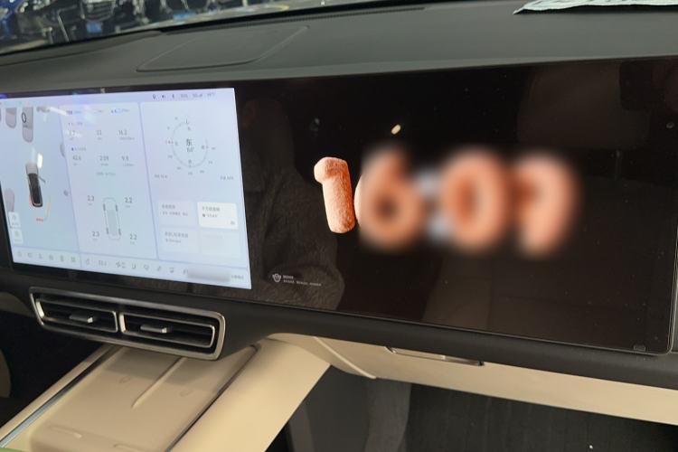 Used Li Auto L9 2023 Pro Model
