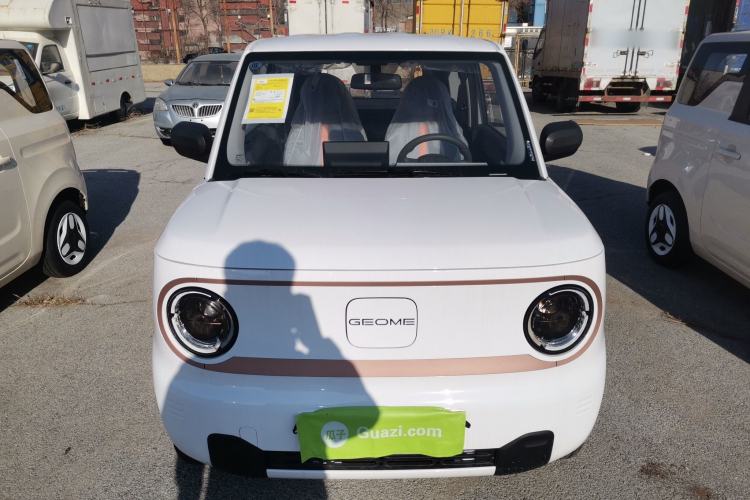 Used  Panda 2024 Panda Mini 200km Endurance Bear
