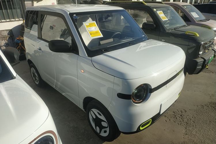 Used  Panda 2025 210 km – Yuanqi Bear