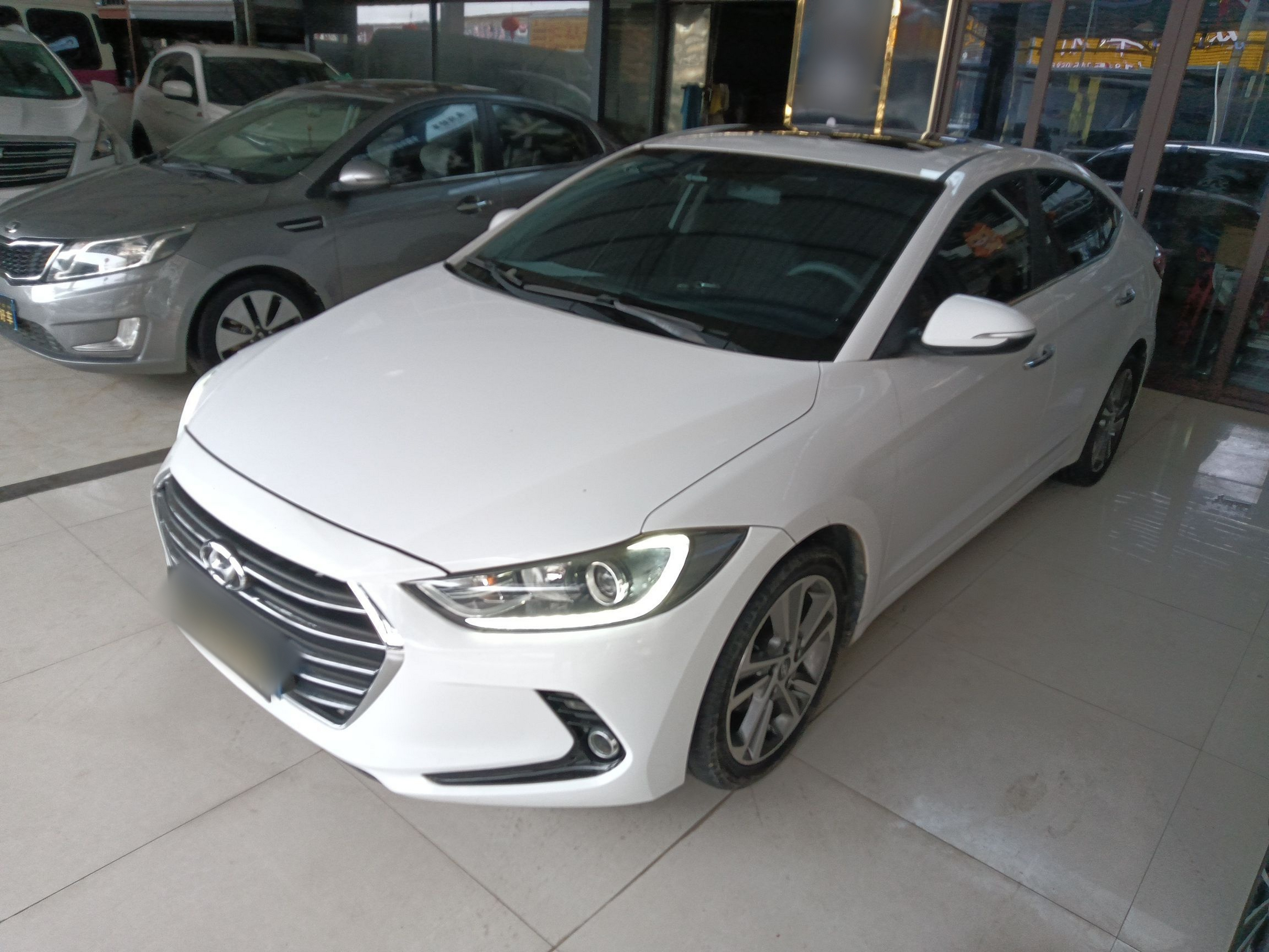 تحت مقدمة السيارة