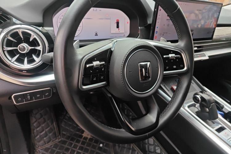 Used Tank 400 2025 2.0T Gasoline Version
