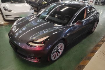 Used Tesla Model 3 2019 Long-Range Rear-Wheel-Drive Version