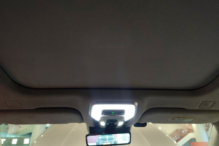 Used Hongqi H9 2020 3.0T Smart Connect Flagship Four-Seat Version
