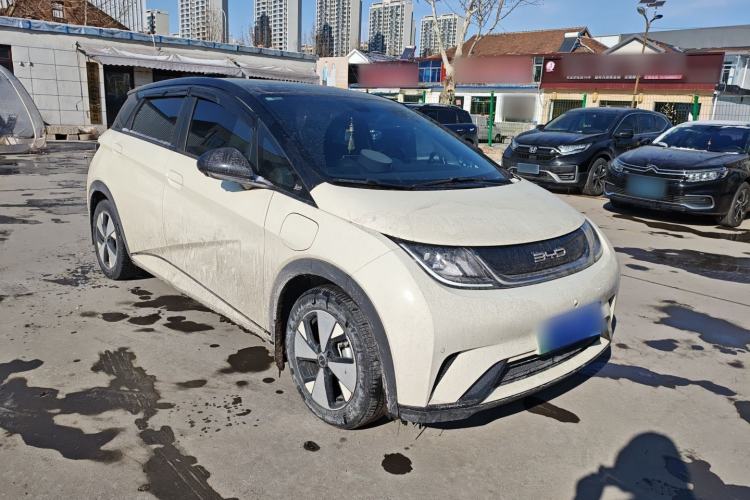 Used BYD Dolphin 2023 420 km Fashion Edition
