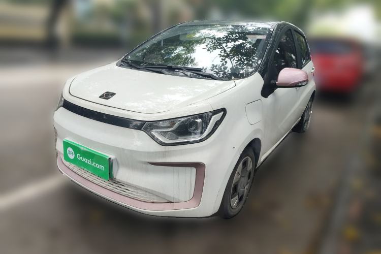 Used SOL E10X 2022 Flower Fairy Design Four-Leaf Clover