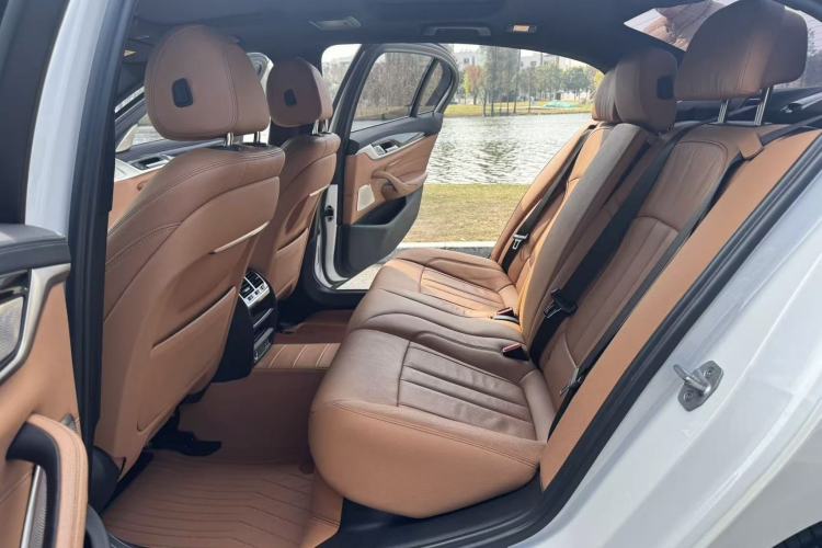 Used BMW 5 Series 2020 530Li Leading Model M Sport Package
