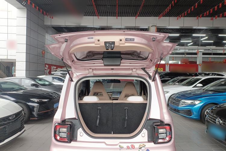 Used  Panda 2024 Panda Mini 200km Endurance Bear
