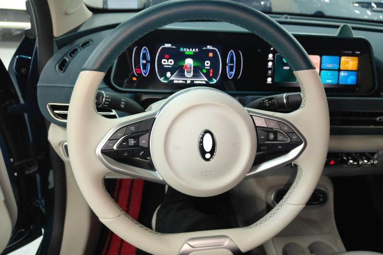 Used ORA Good Cat 2023 401 km Standard Range Luxury Version Lithium Iron Phosphate
