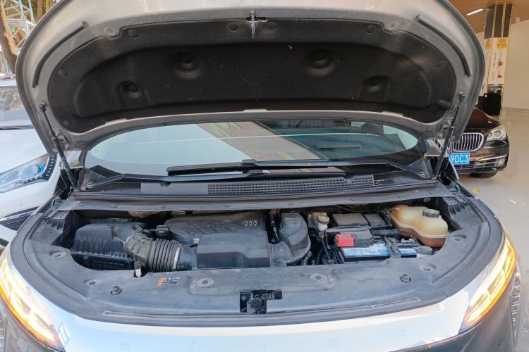 Used Buick Century 2023 2.0T Four-Seat Private Edition
