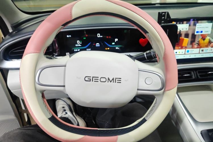 Used  Geome 2025 310km Youth Edition