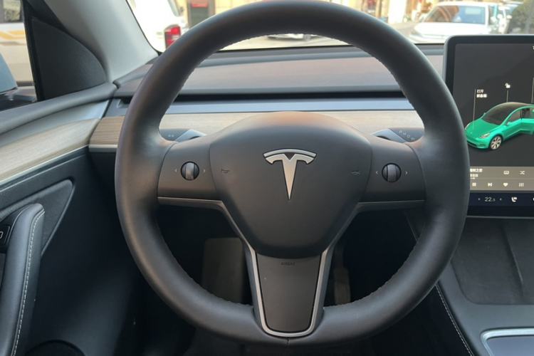 Used Tesla Model Y 2021 Standard Range Rear-Wheel Drive Version
