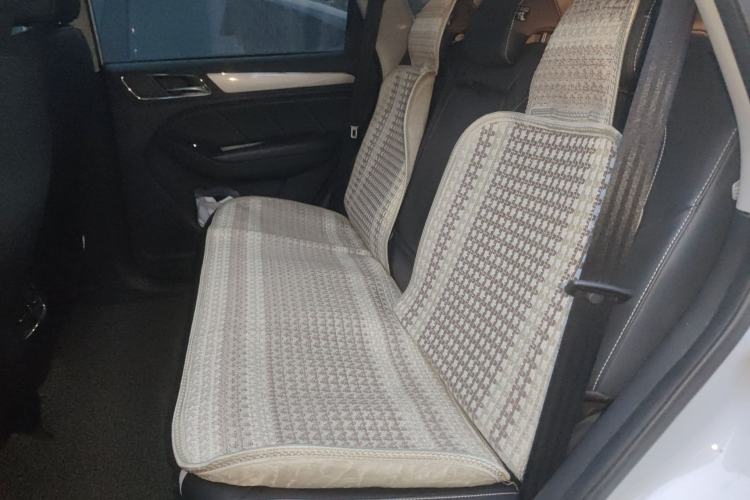 Used Roewe RX5 2018 20T Two-Wheel Drive Manual Flagship Edition