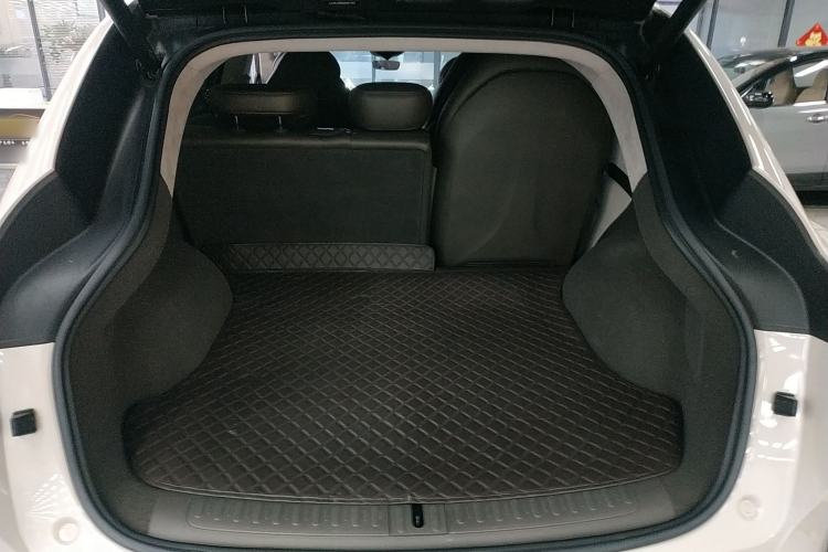 Used  LS7 2024 90 kWh Max Elite Rear-Drive Version