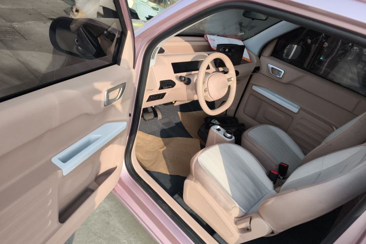 Used  Panda 2024 Panda Mini 200km Endurance Bear