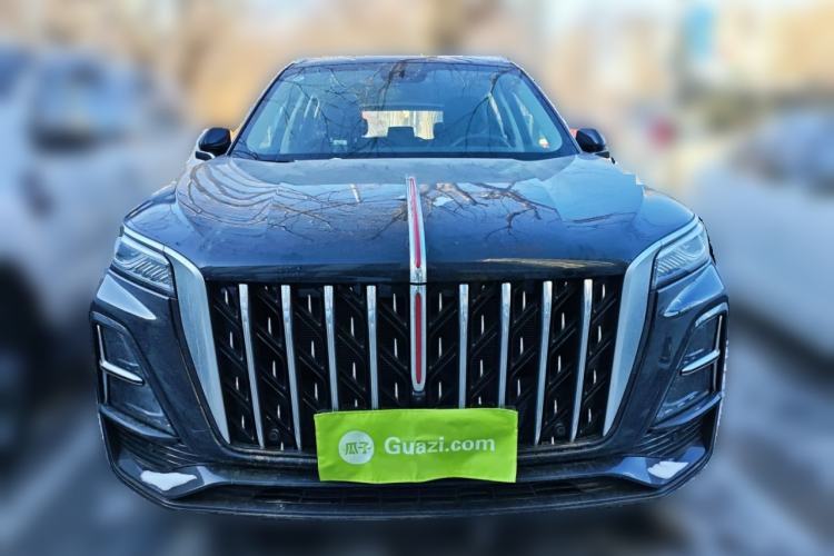 Used Hongqi HS5 2025 2.0T Two-Wheel Drive 600 000-Vehicle Commemorative Edition
