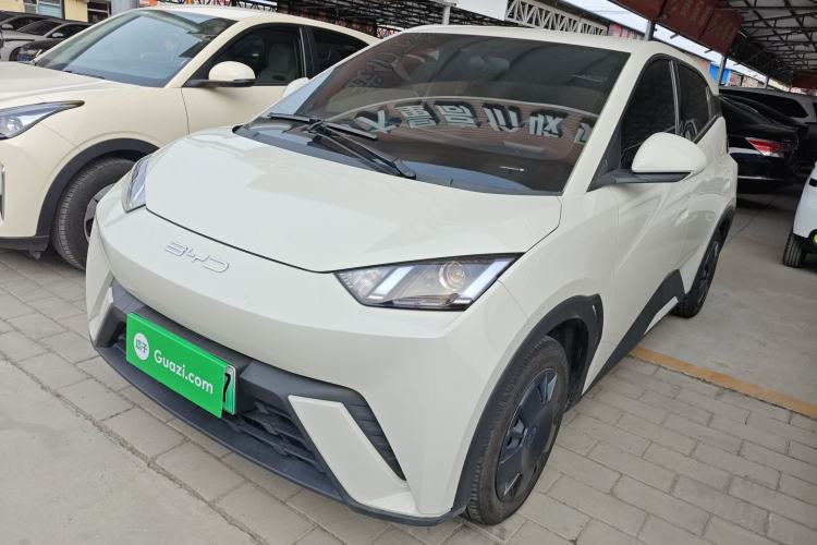 Used BYD Seagull 2023 Active Version
