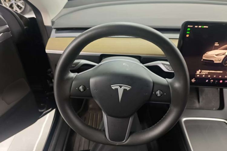 Used Tesla Model Y 2021 Standard Range Rear-Wheel Drive Version
