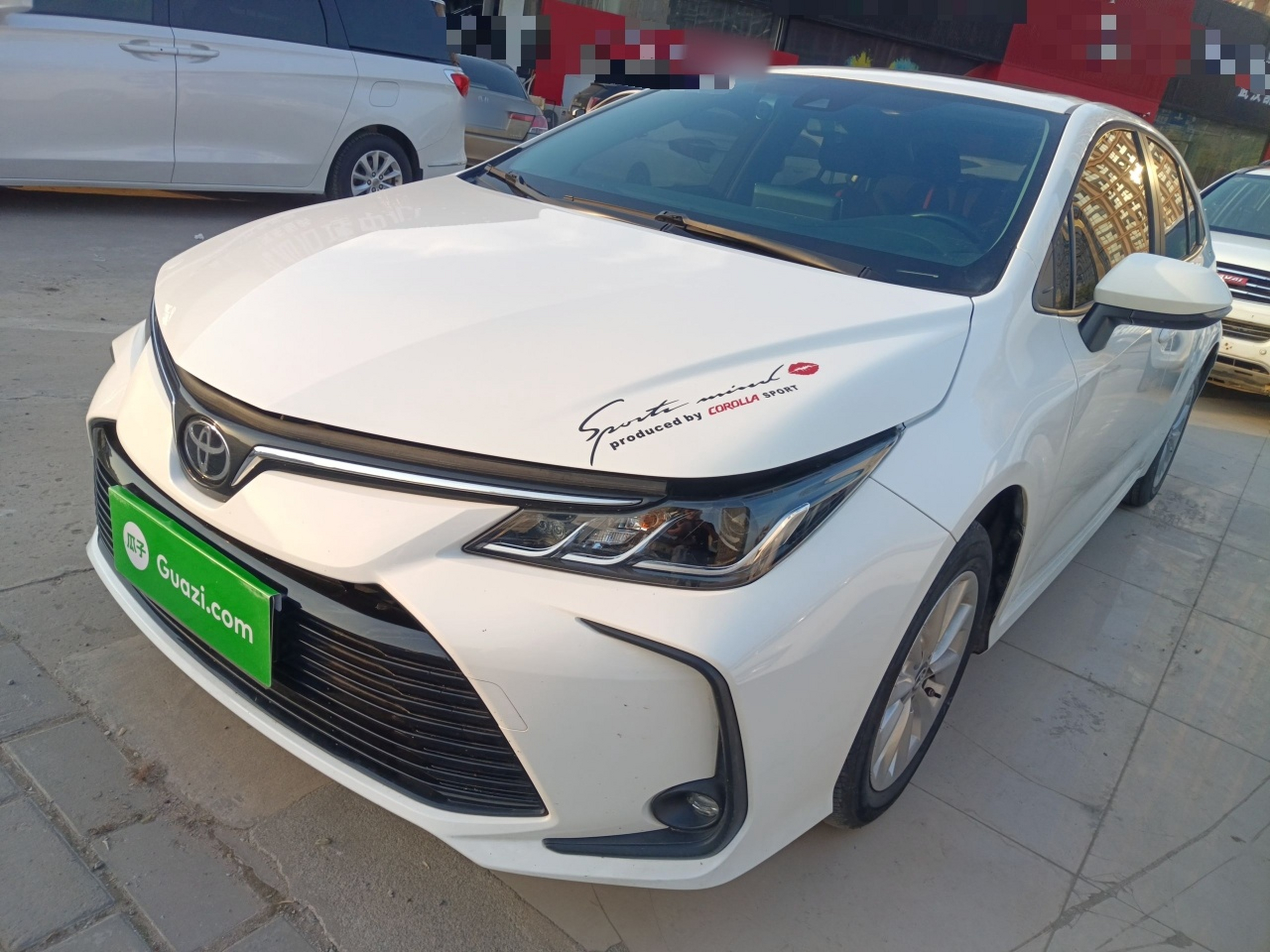 تحت مقدمة السيارة