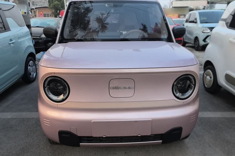 Used  Panda 2023 Panda Mini 200km Endurance Bear
