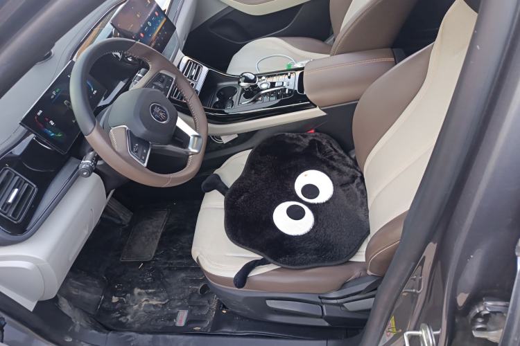 Used BYD Qin PLUS 2024 HONOR Edition DM-i 55KM Leading Model
