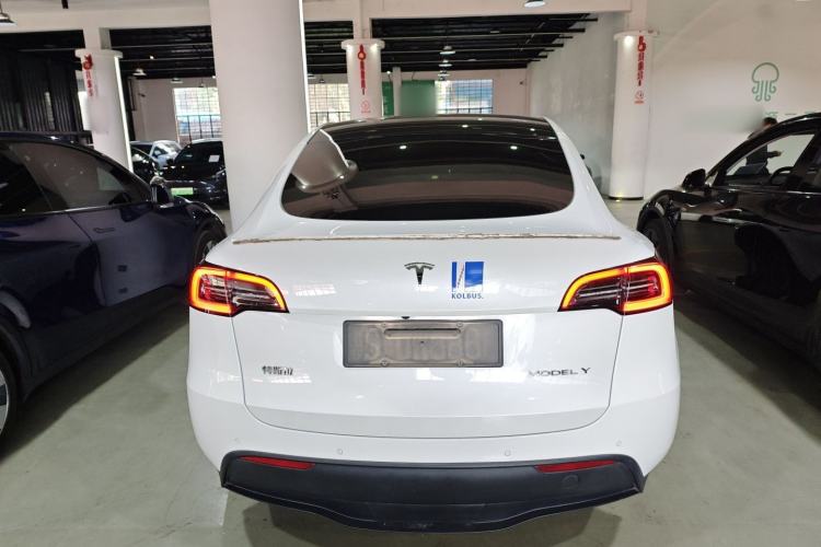 Used Tesla Model Y 2023 Long-Range All-Wheel-Drive Version
