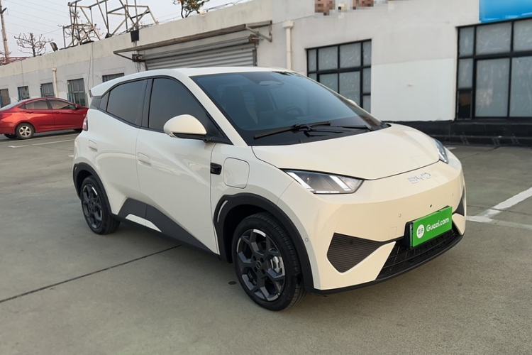 Used BYD Seagull 2025 Smart Drive Version 305 km Freedom Edition