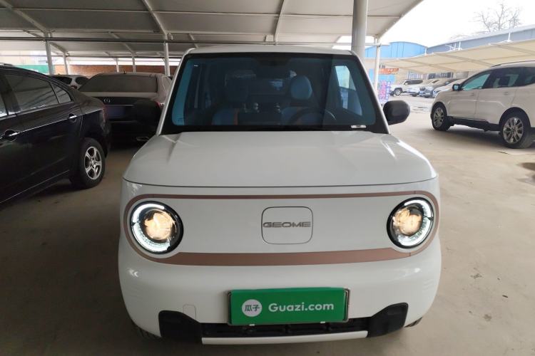 Used  Panda 2023 Panda Mini 200km Endurance Bear